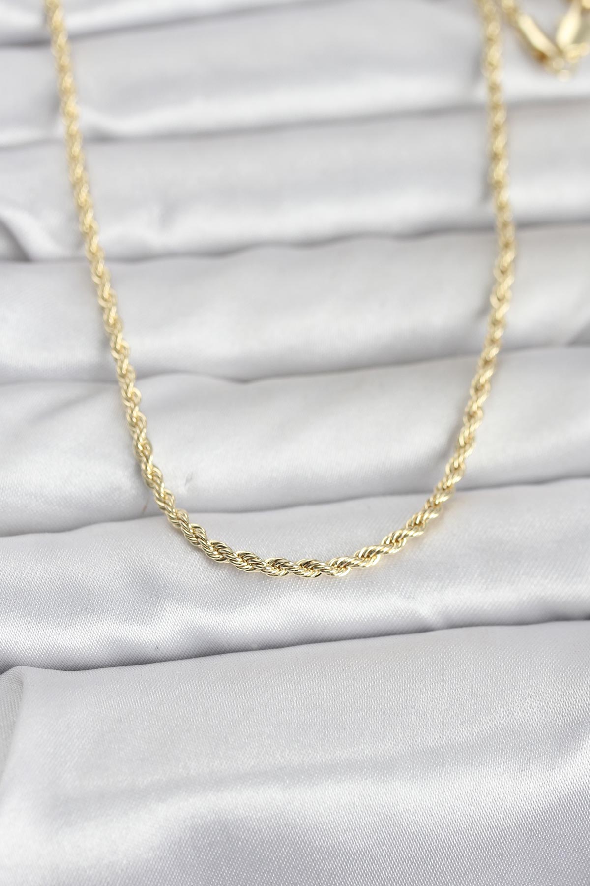 CM 14K Gold Renk Burgu Model Zincirli 60 cm Kadın Kolye